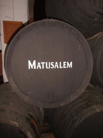 971 jerez bodega gonzalez-byass